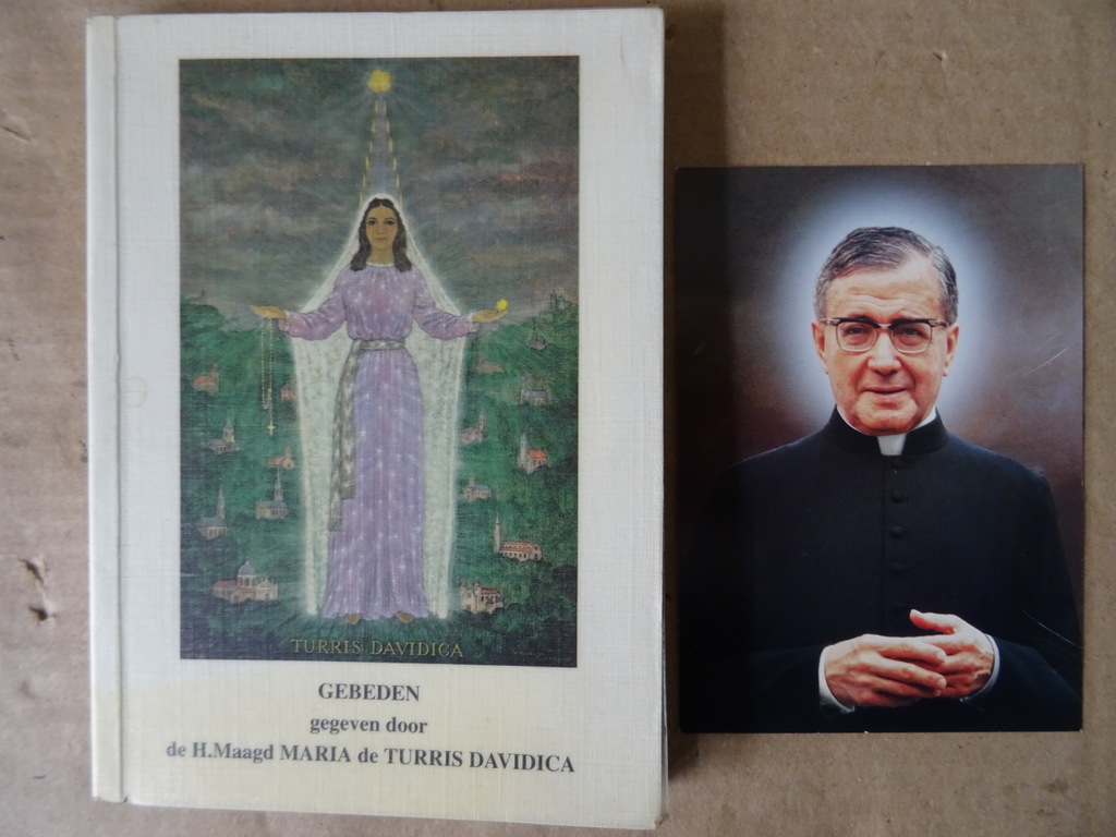Gebeden gegeven door de H. Maagd Maria de Turris Davidica - Afbeelding 15