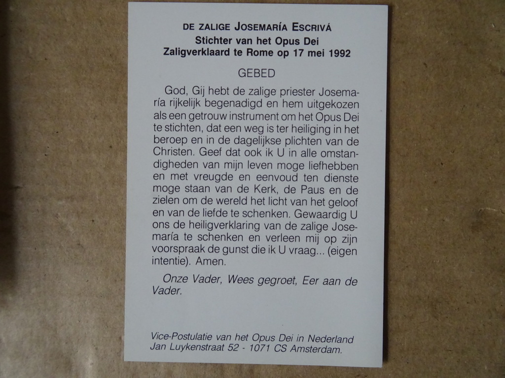Gebeden gegeven door de H. Maagd Maria de Turris Davidica - Afbeelding 16