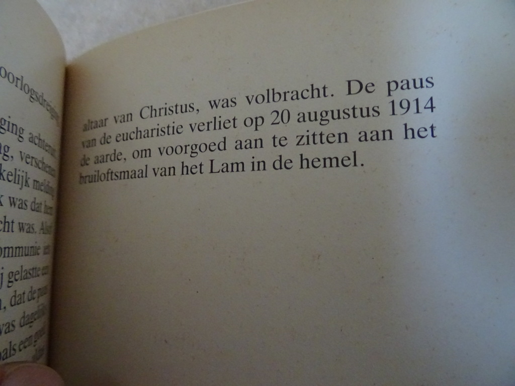 J. Hermans Pius X De paus van de eucharistie - Afbeelding 9