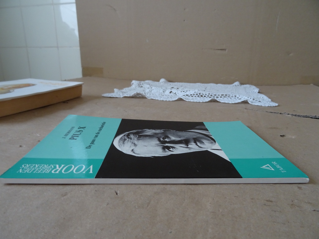 J. Hermans Pius X De paus van de eucharistie - Afbeelding 14