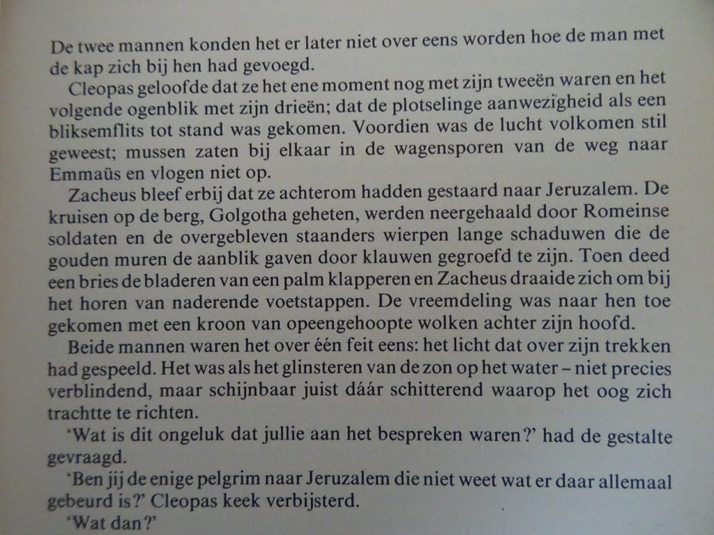 Kirk Mitchell Stad der Martelaren - Afbeelding 8