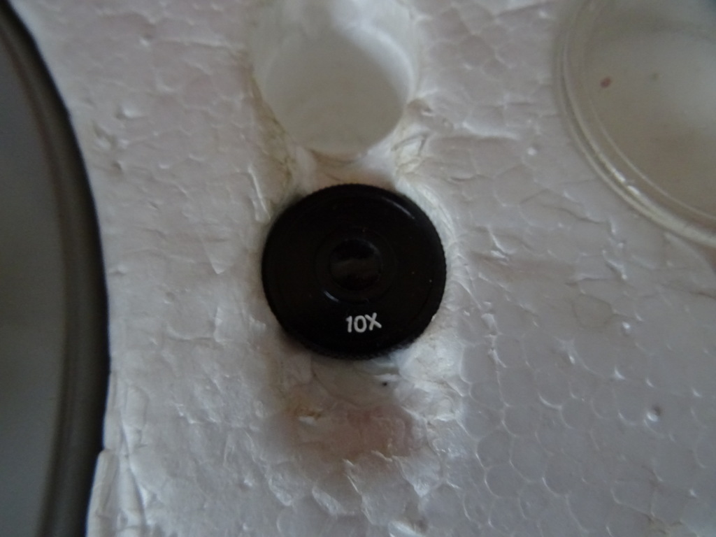 Vintage C.O.C. microscoop 50x 900x - Afbeelding 11