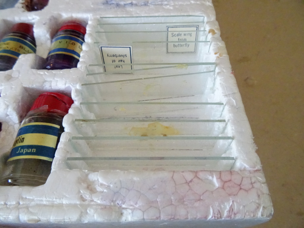 Vintage C.O.C. microscoop 50x 900x - Afbeelding 13