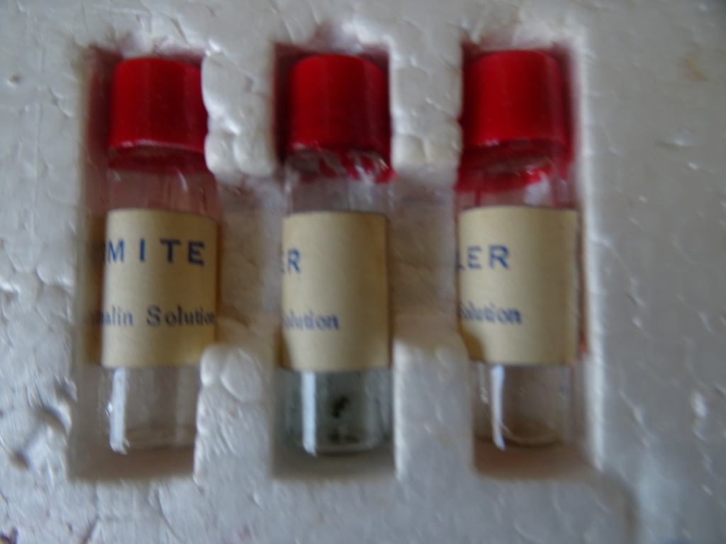 Vintage C.O.C. microscoop 50x 900x - Afbeelding 16