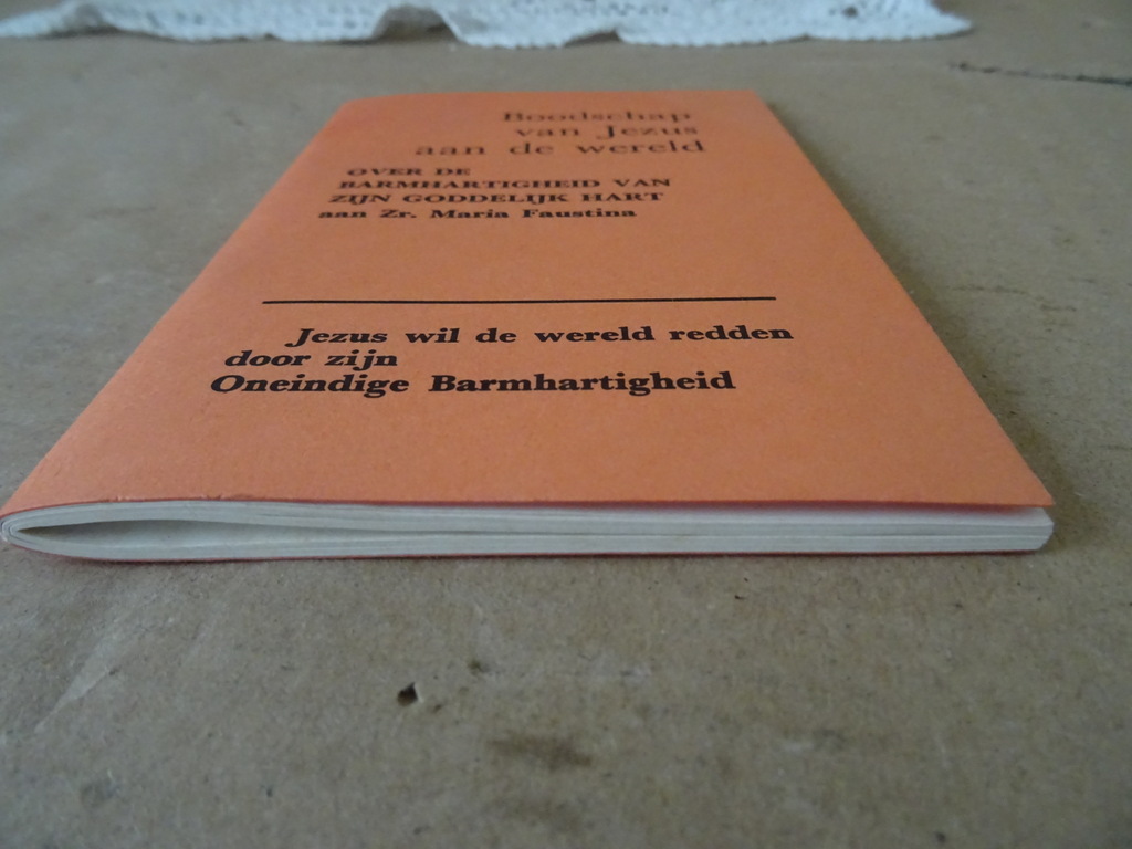 Zr. Maria Faustina Boodschap van Jezus aan de wereld + prentjes - Afbeelding 14
