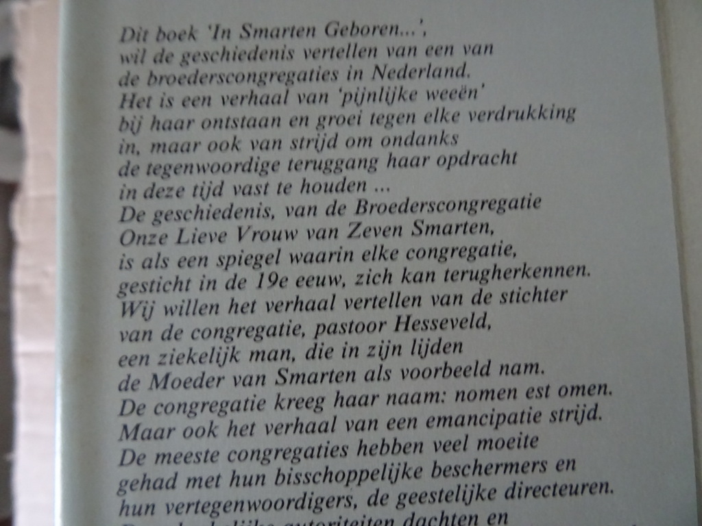 Edesius Boerrigter In smarten geboren... - Afbeelding 4