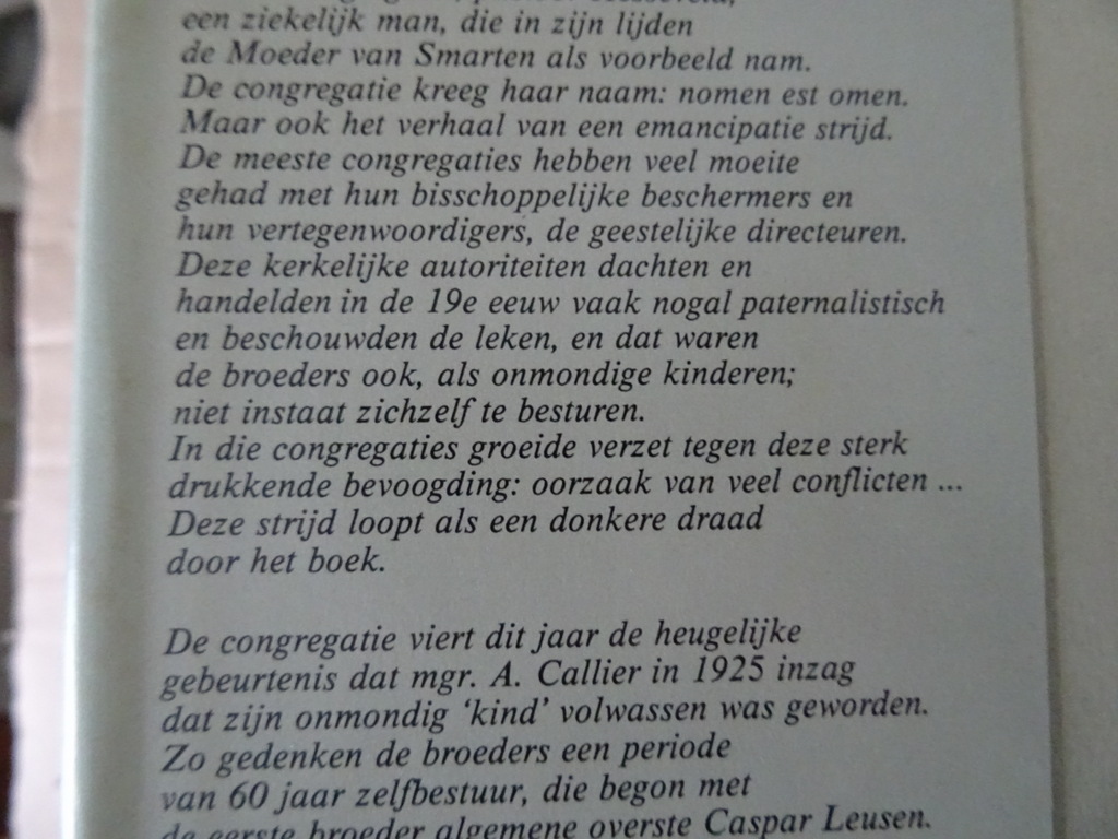 Edesius Boerrigter In smarten geboren... - Afbeelding 5