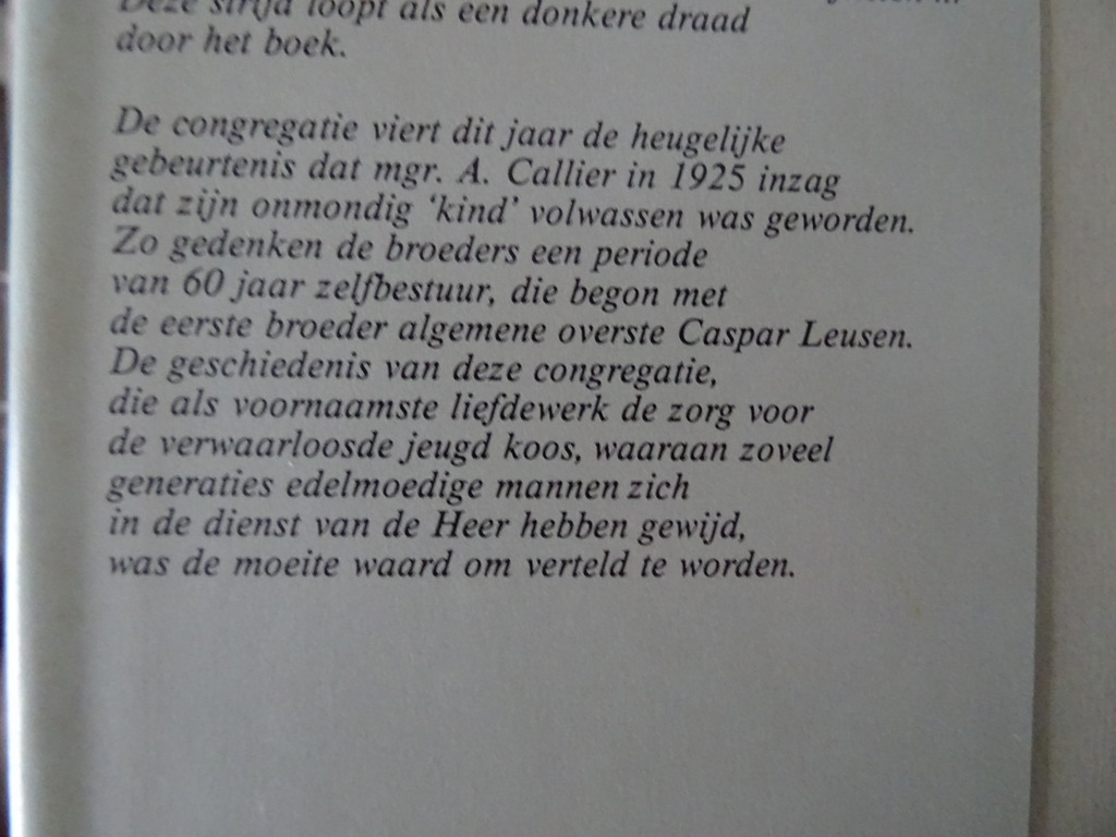 Edesius Boerrigter In smarten geboren... - Afbeelding 6