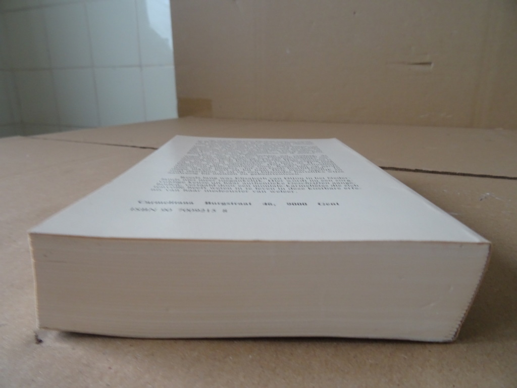 Elisabeth van Dijon Geschriften - Afbeelding 13