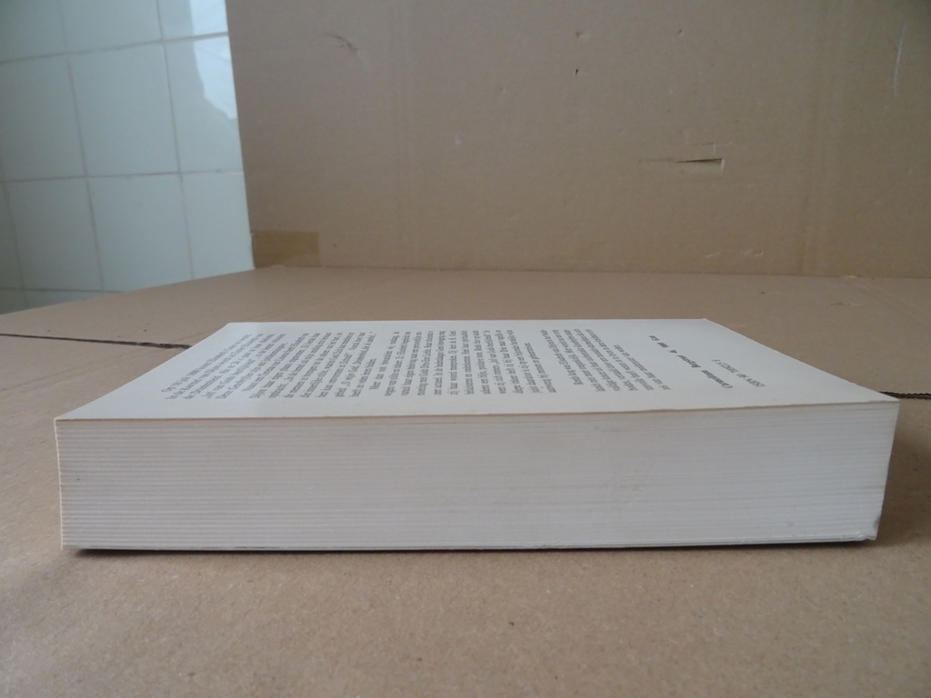 Elisabeth van Dijon Geschriften - Afbeelding 14