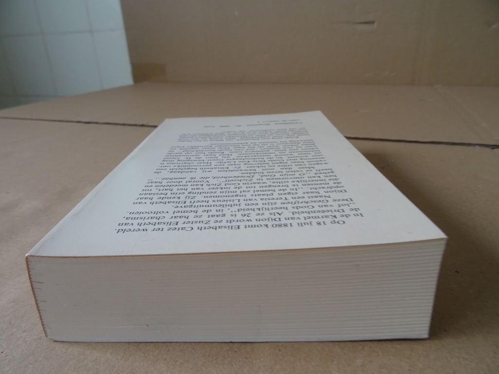 Elisabeth van Dijon Geschriften - Afbeelding 16