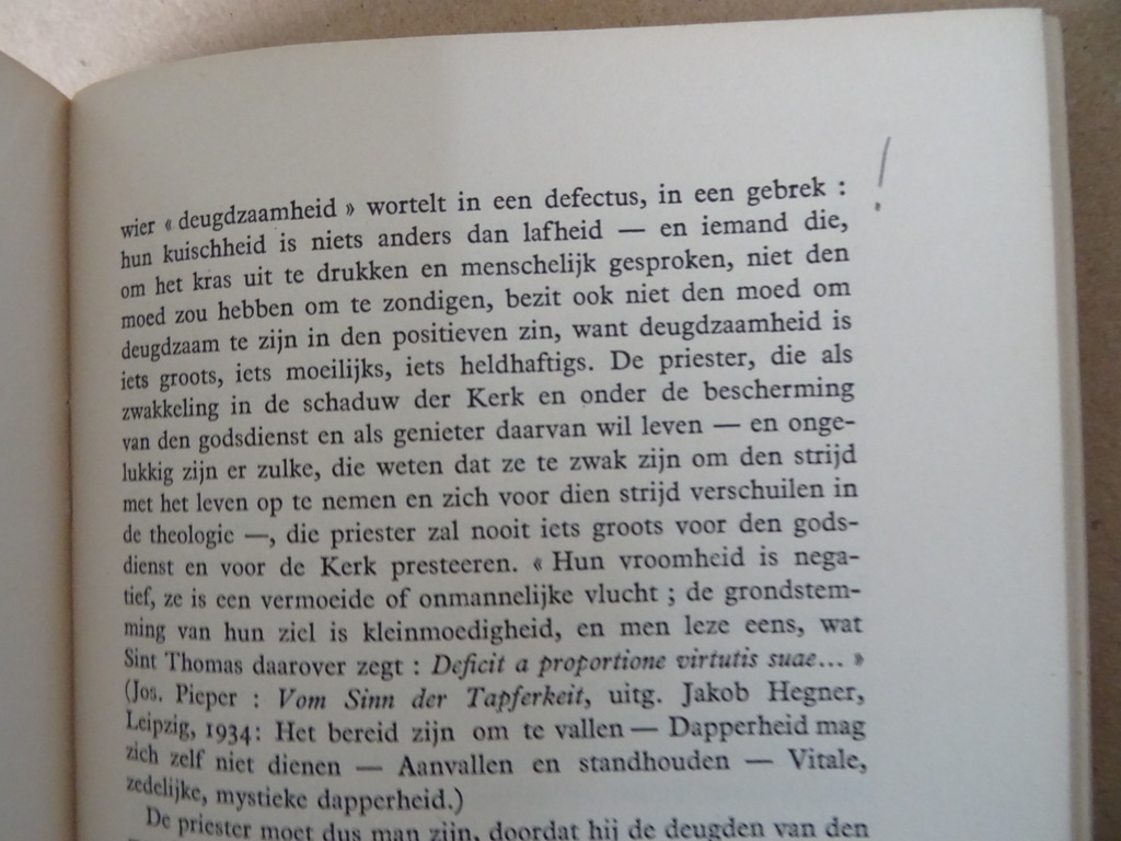 Josef Sellmair De priester in de wereld - Afbeelding 14