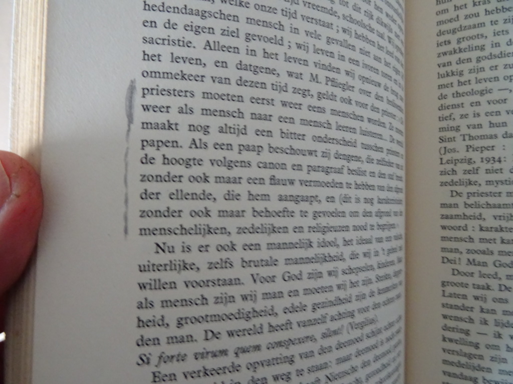 Josef Sellmair De priester in de wereld - Afbeelding 15
