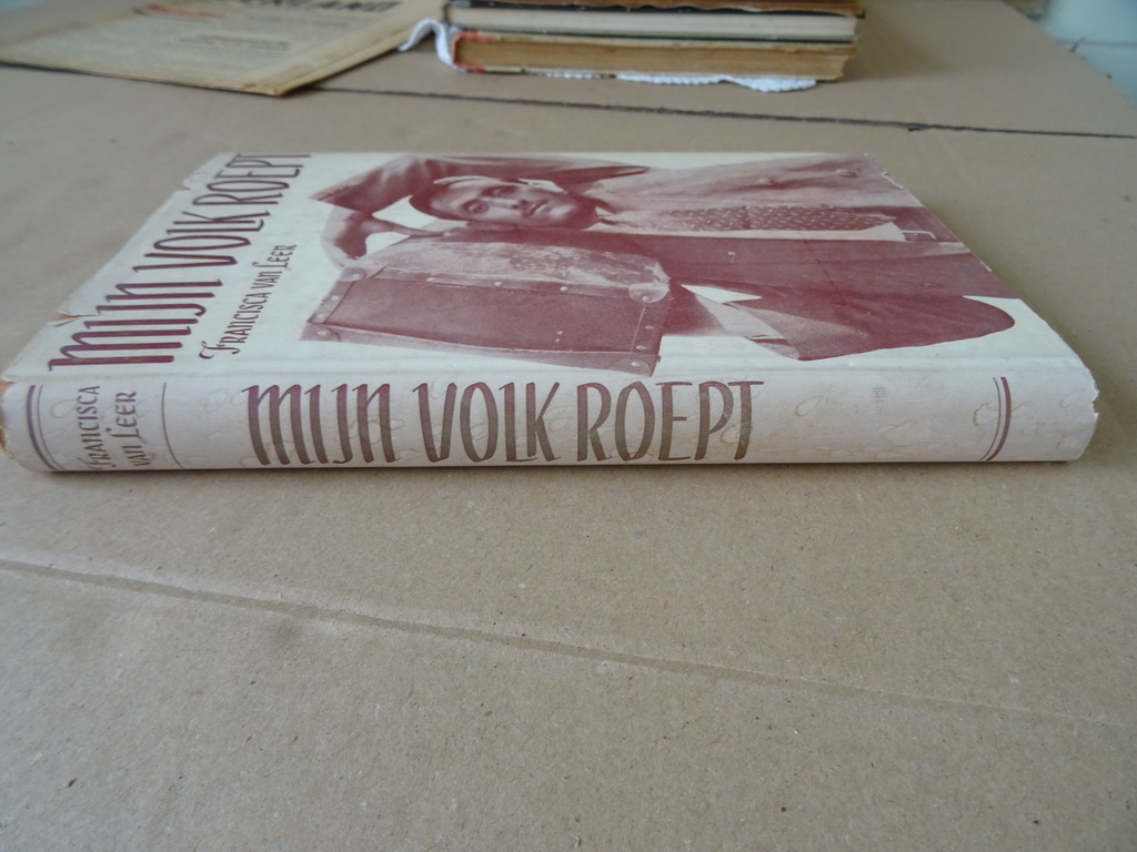 Francisca van Leer Mijn volk roept - Afbeelding 13