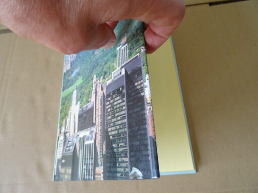 Alternative view of David Gibbon New York