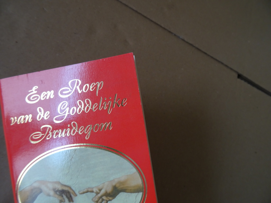 Vassula Ryden Een Roep van de Goddelijke Bruidegom - Afbeelding 2