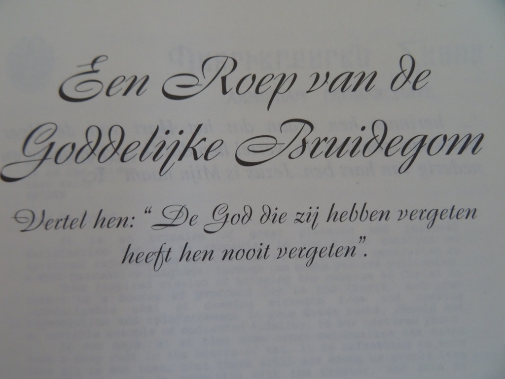 Vassula Ryden Een Roep van de Goddelijke Bruidegom - Afbeelding 5