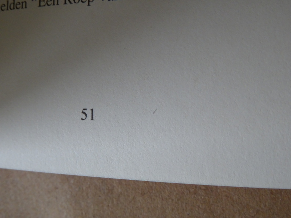 Vassula Ryden Een Roep van de Goddelijke Bruidegom - Afbeelding 13