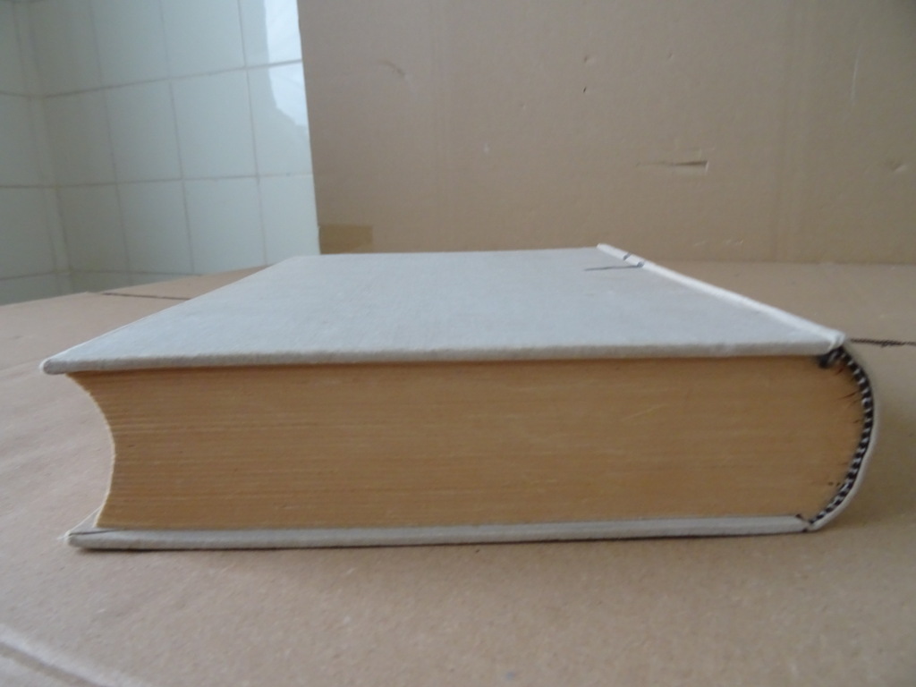 H. Petitot o.p. Sint Dominicus - Afbeelding 19
