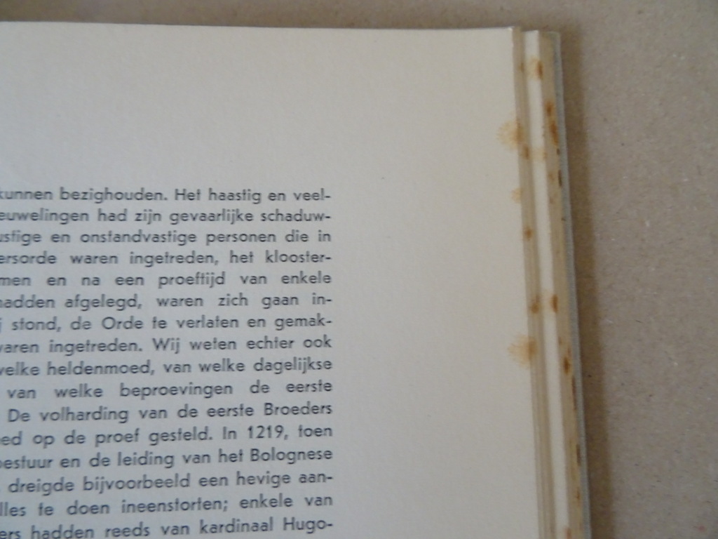 H. Petitot o.p. Sint Dominicus - Afbeelding 27