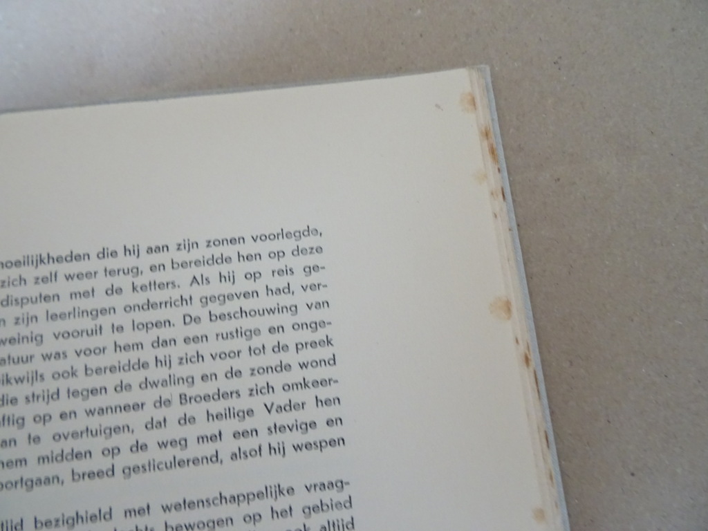 H. Petitot o.p. Sint Dominicus - Afbeelding 28