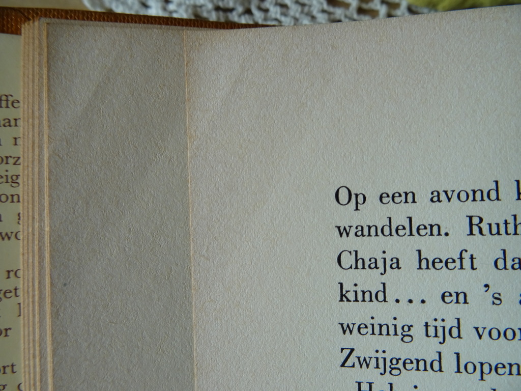 Francisca van Leer Mijn volk roept - Afbeelding 14