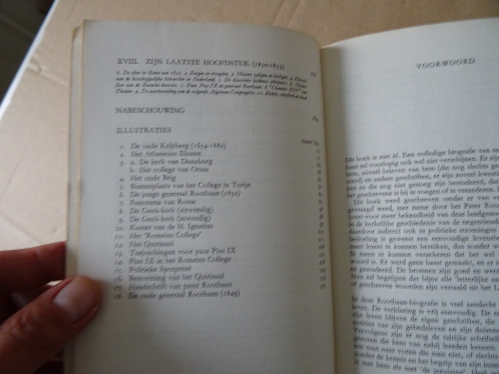 C. J. Ligthart S.J. De Nederlandse Jezuietengeneraal Jan Philip Roothaan - Afbeelding 13