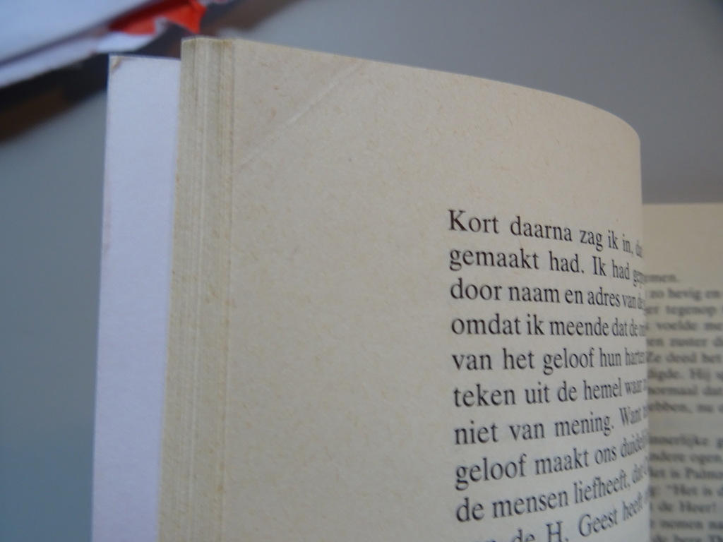 Pater Emiliano Tardif De kracht van het Evangelie - Afbeelding 16