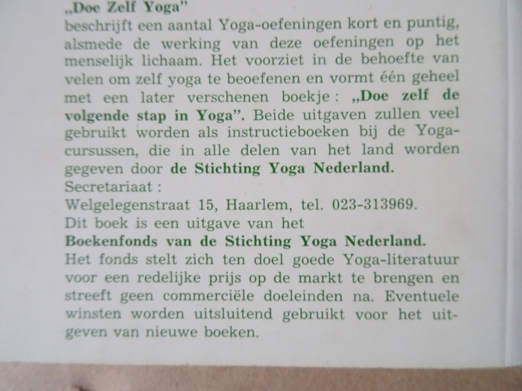 Rama Polderman Doe zelf yoga - Afbeelding 16