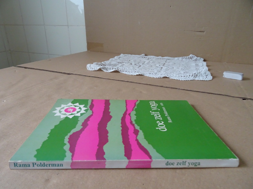 Rama Polderman Doe zelf yoga - Afbeelding 19