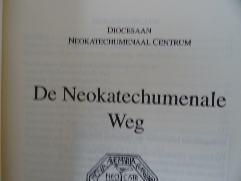 Neocatechumenale Iter Statua - Afbeelding 6