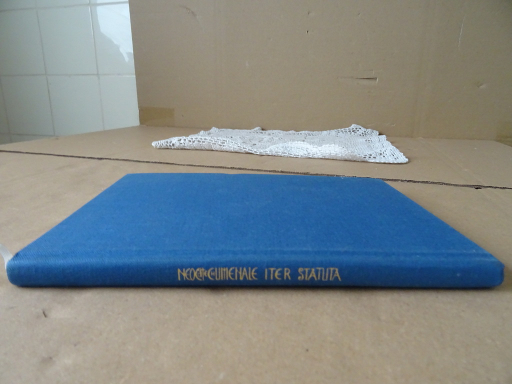 Neocatechumenale Iter Statua - Afbeelding 22