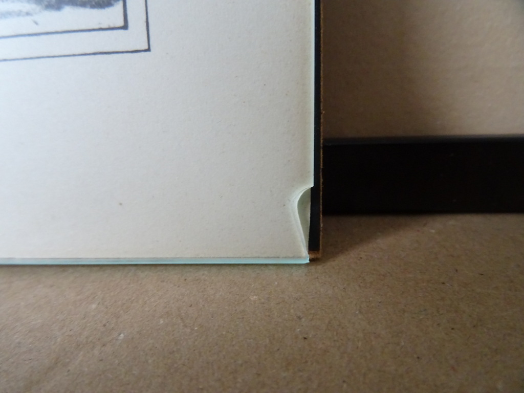 Set vintage medische prenten - Afbeelding 16