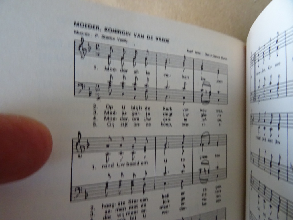 A. Ory Medjugorje tussen Oost en West - Afbeelding 12