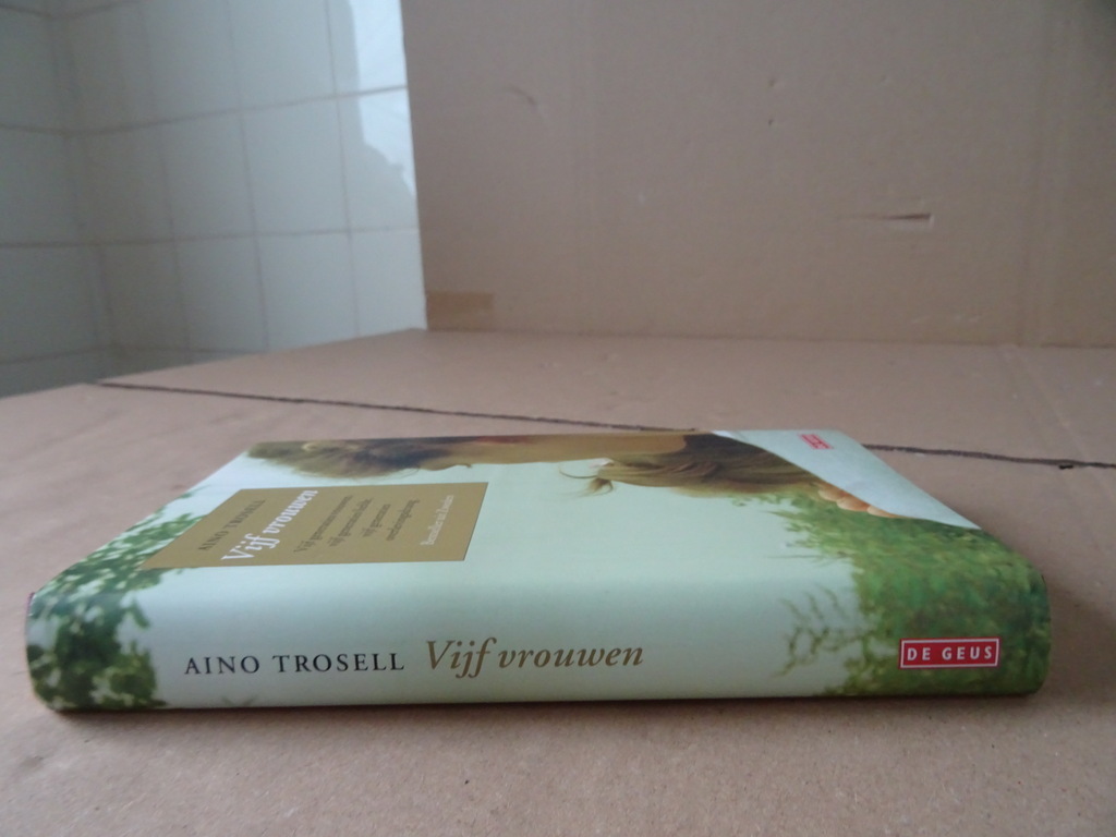Aino Trosell Vijf vrouwen - Afbeelding 15