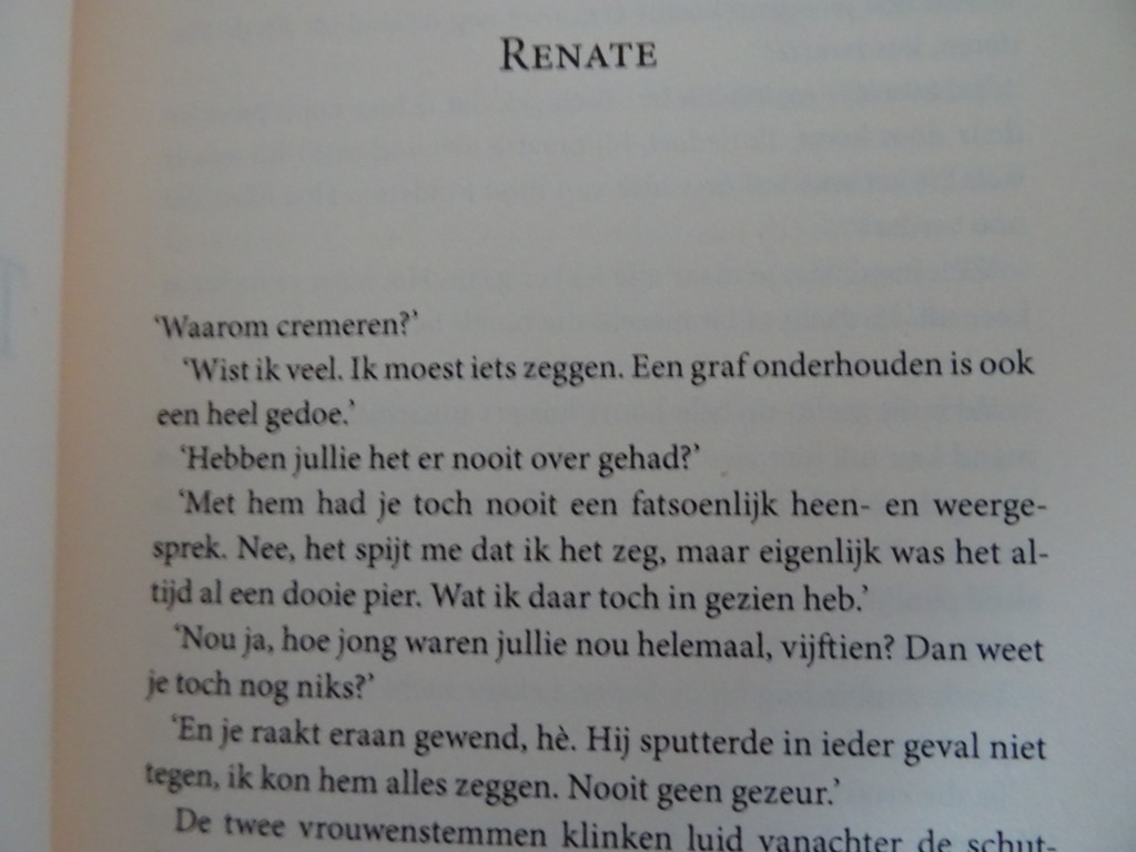 Rita Spijker Tussen zussen - Afbeelding 4