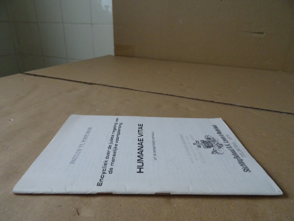 Paus Paulus VI Pont. Max. Encycliek Humanae Vitae - Afbeelding 15