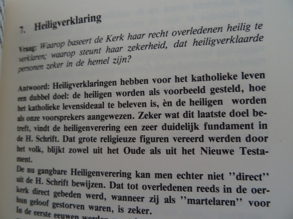 Pater Hugo Bekkers ofm cap. Antwoord op geloofsonzekerheden - Afbeelding 8