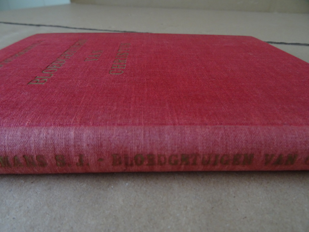 M. F. Schurmans S. J. Bloedgetuigen van Christus - Afbeelding 13