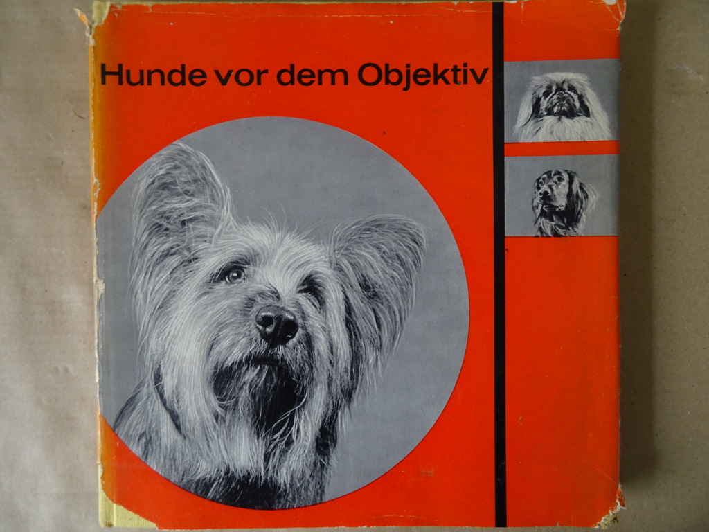 Jan Styczynski Hunde vor dem Objectiv