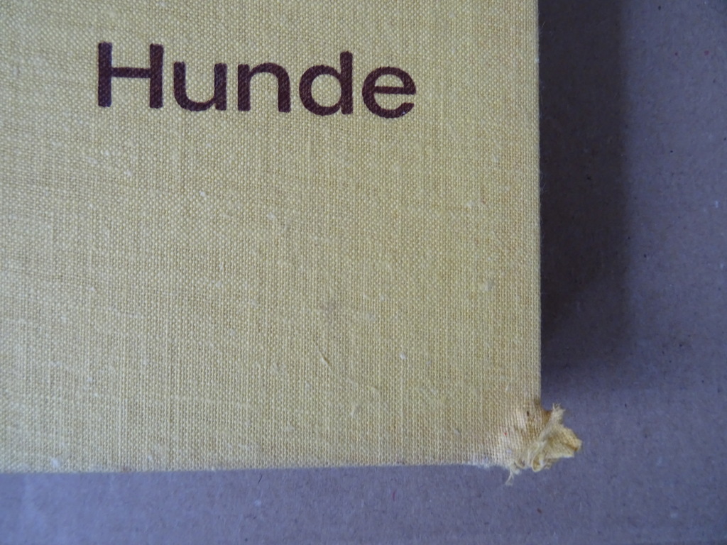Jan Styczynski Hunde vor dem Objectiv - Afbeelding 5