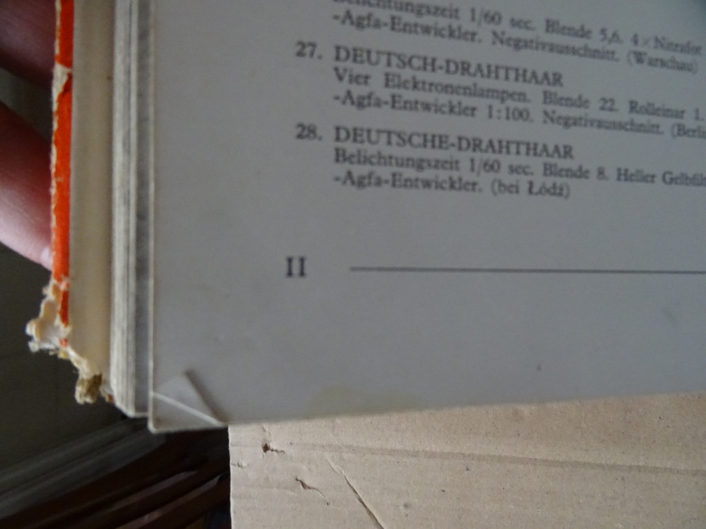 Jan Styczynski Hunde vor dem Objectiv - Afbeelding 17
