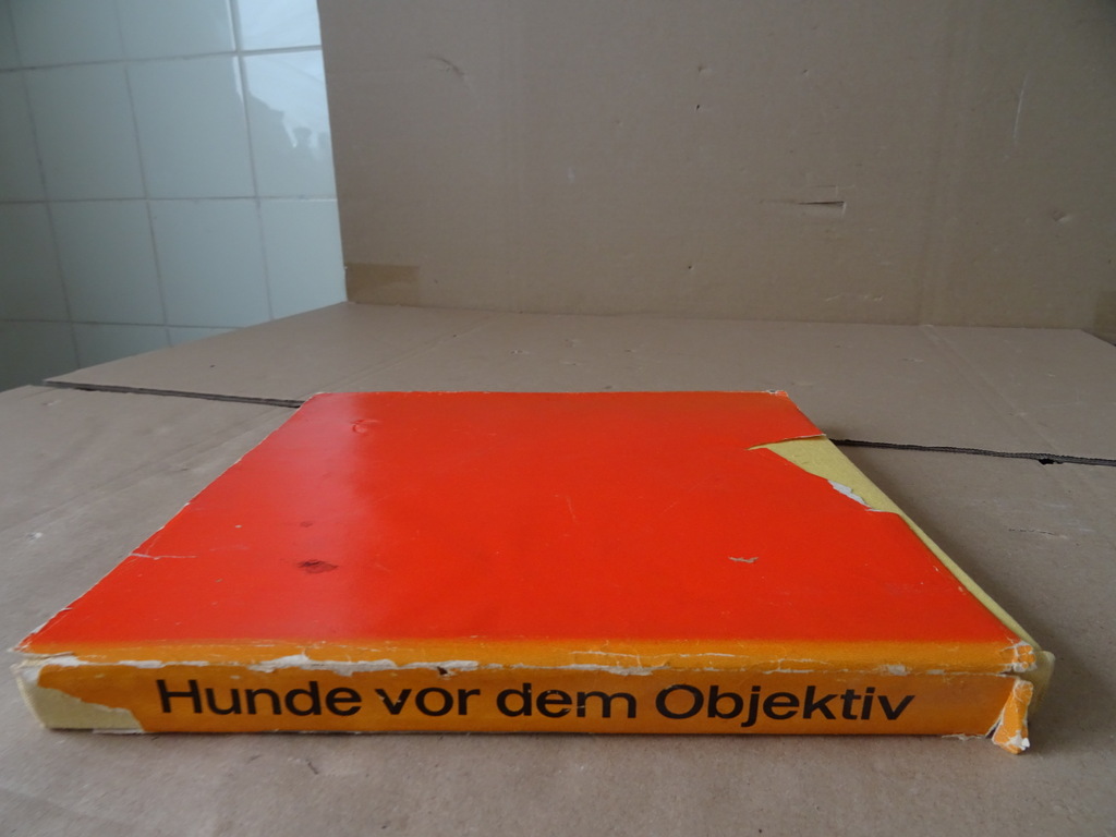 Jan Styczynski Hunde vor dem Objectiv - Afbeelding 21