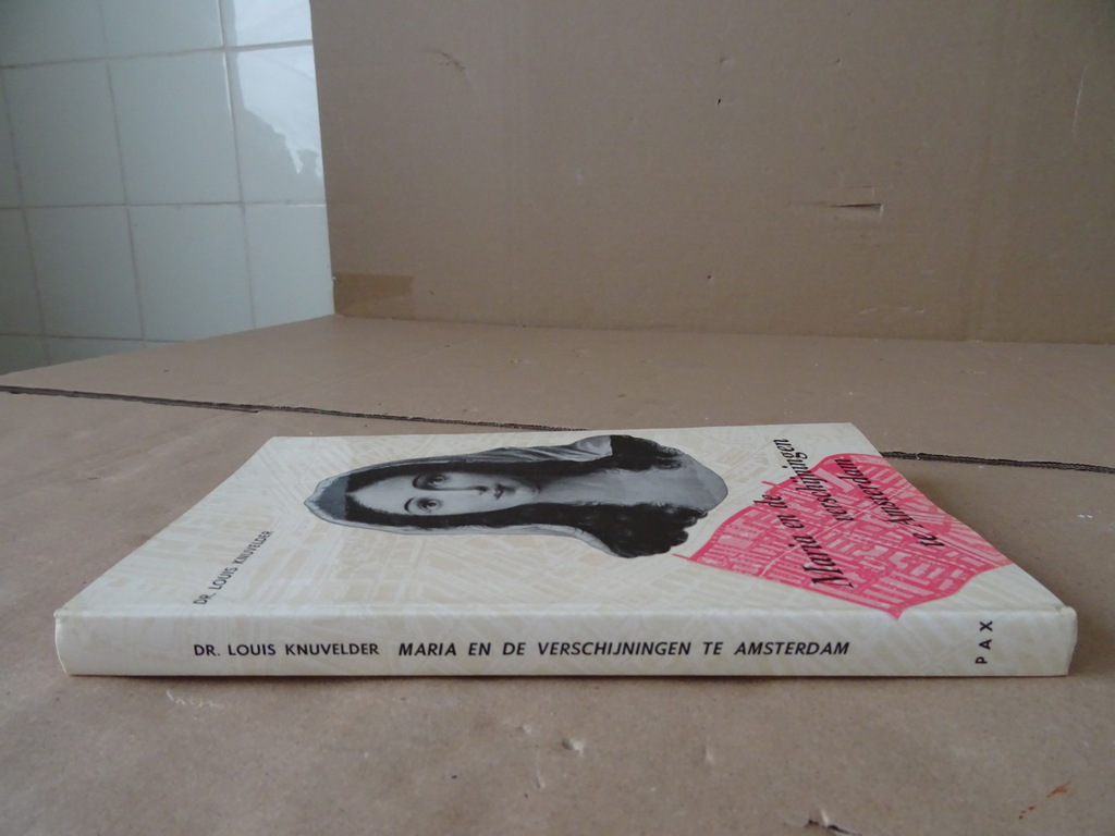 Dr. Louis Knuvelder Maria en de verschijningen te Amsterdam - Afbeelding 18