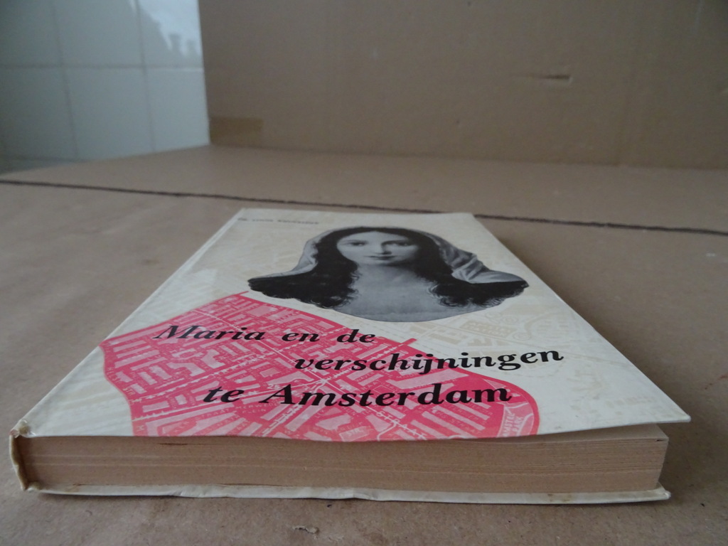 Dr. Louis Knuvelder Maria en de verschijningen te Amsterdam - Afbeelding 19