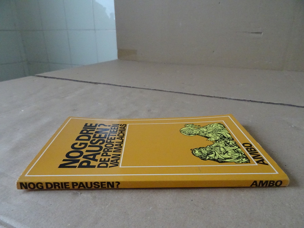 Peter Bander Nog drie pausen? De profetieën van Malachias - Afbeelding 14