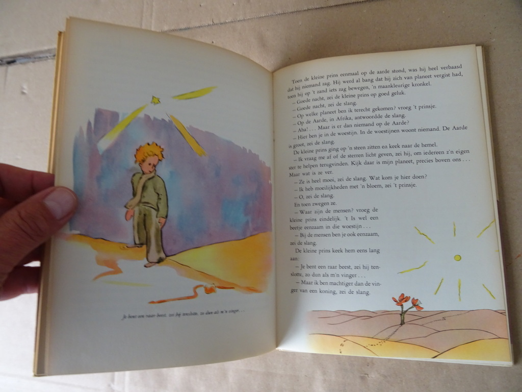 Antoine de Saint-Exupéry De kleine prins - Afbeelding 13