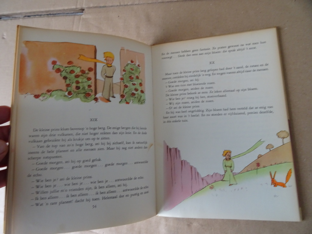 Antoine de Saint-Exupéry De kleine prins - Afbeelding 14