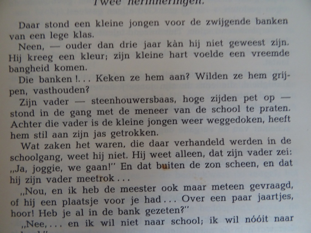 W. G. Van de Hulst Herinneringen van een schoolmeester - Afbeelding 7