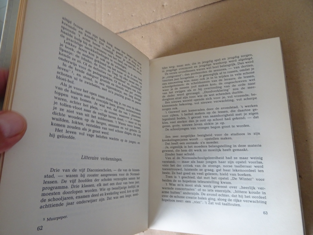 W. G. Van de Hulst Herinneringen van een schoolmeester - Afbeelding 9